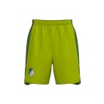 Kid's TSG Hoffenheim 2024/25 Third Shorts