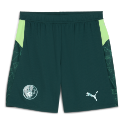 Men's Manchester City 2025/26 Third Football Shorts