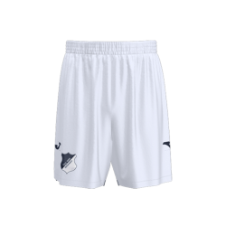 Men's TSG Hoffenheim 2025/26 Third Shorts