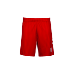 Men's SSV Jahn Regensburg 2025/26 Home Shorts Men's SSV Jahn Regensburg 2025/26 Home Shorts