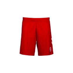 Men's SSV Jahn Regensburg 2025/26 Home Shorts
