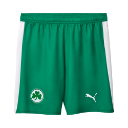 Men's SpVgg Greuther 2025/26 Away Shorts