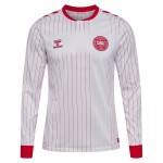 Kid's Denmark 2026 Away World Cup Long Sleeve Shirt Kid's Denmark 2026 Away World Cup Long Sleeve Shirt